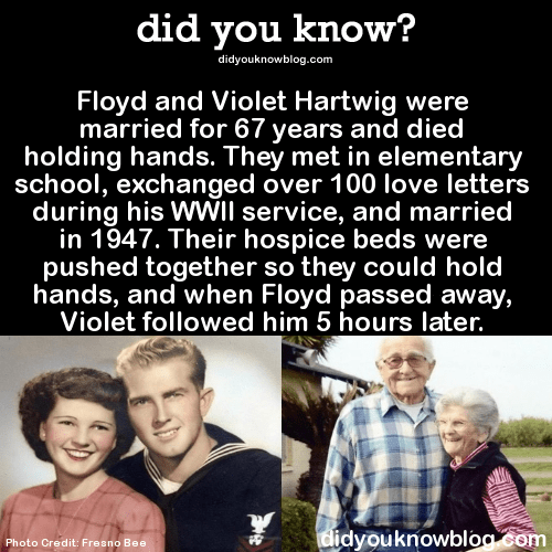Floyd and Violet Hartwig