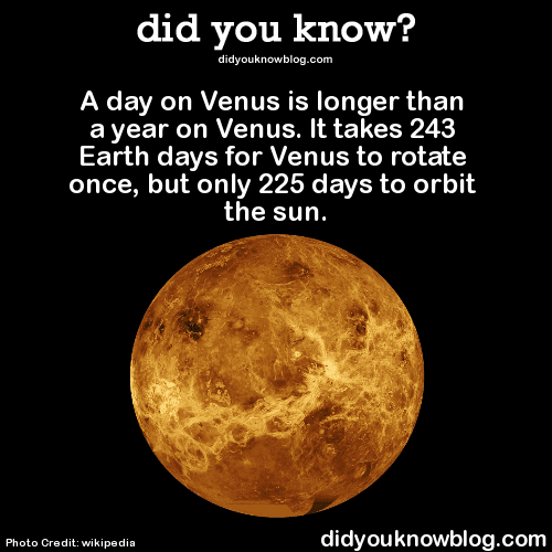 1 Venus