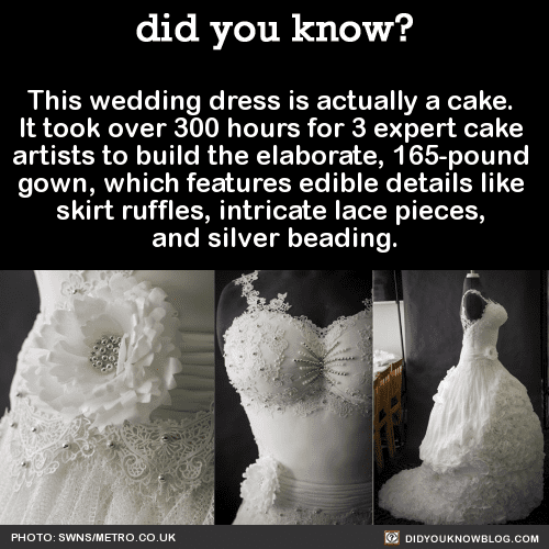 1 Wedding Cake Dress