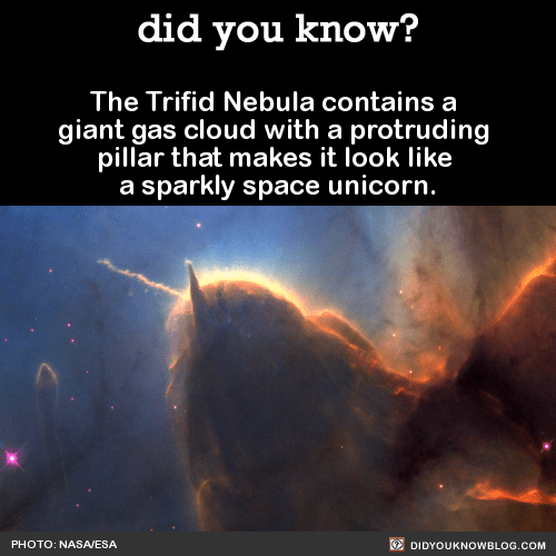 12 Narwal Nebula