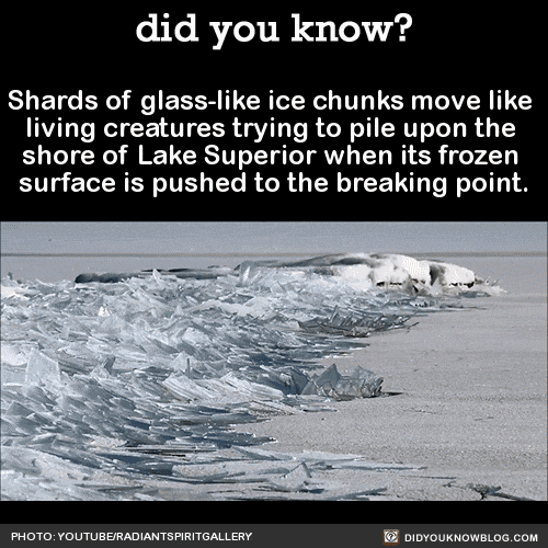 5 Glass Ice
