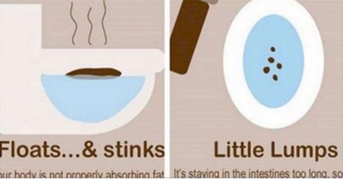 the-science-behind-your-poop-and-what-it-says-about-your-body