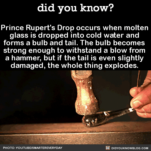 1 Prince Rupert