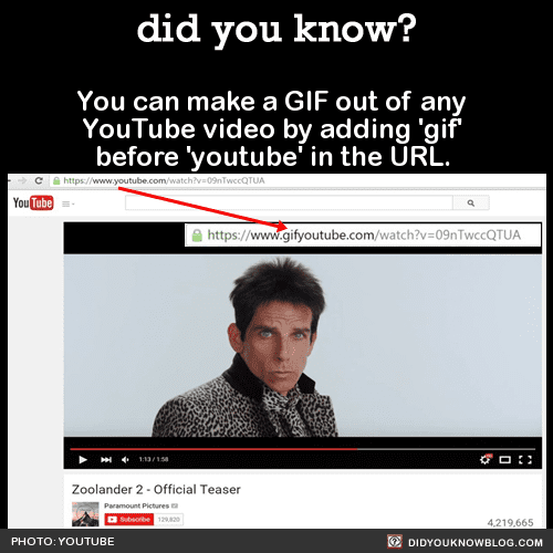 11 GifTube