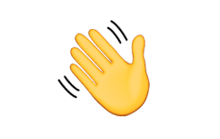 emoji meaning wave