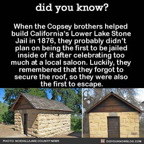 http://didyouknowblog.com/post/150785322436/when-the-copsey-brothers-helped-build