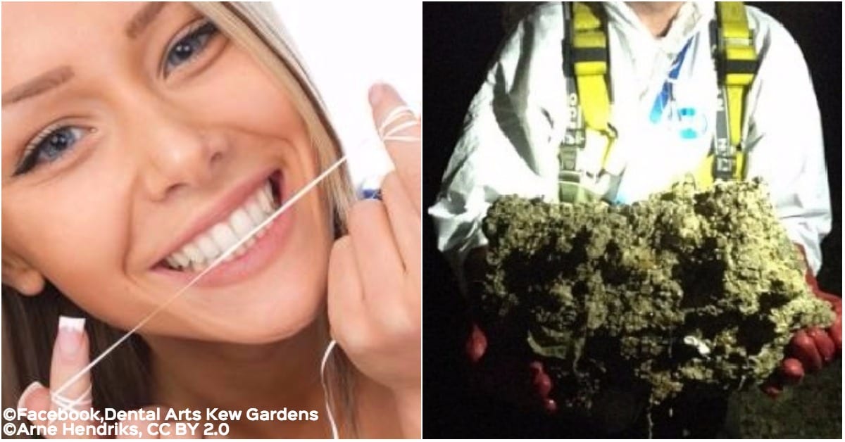 This Is Why You Shouldn't Flush Your Dental Floss Down the Toilet