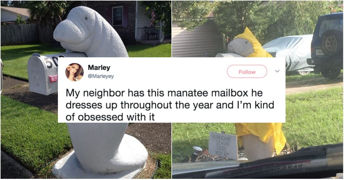 These People Have a Manatee Mailbox and It's Perfect