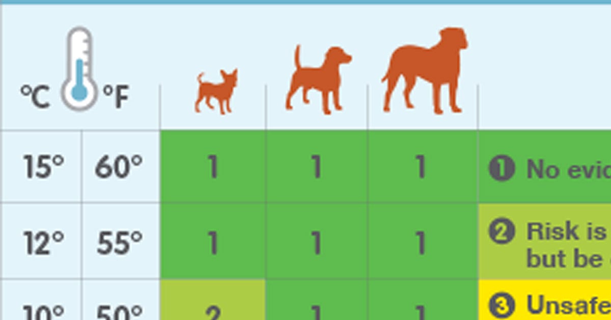 This EasytoRead Chart Tells You When It's Too Cold to Walk Your Dog