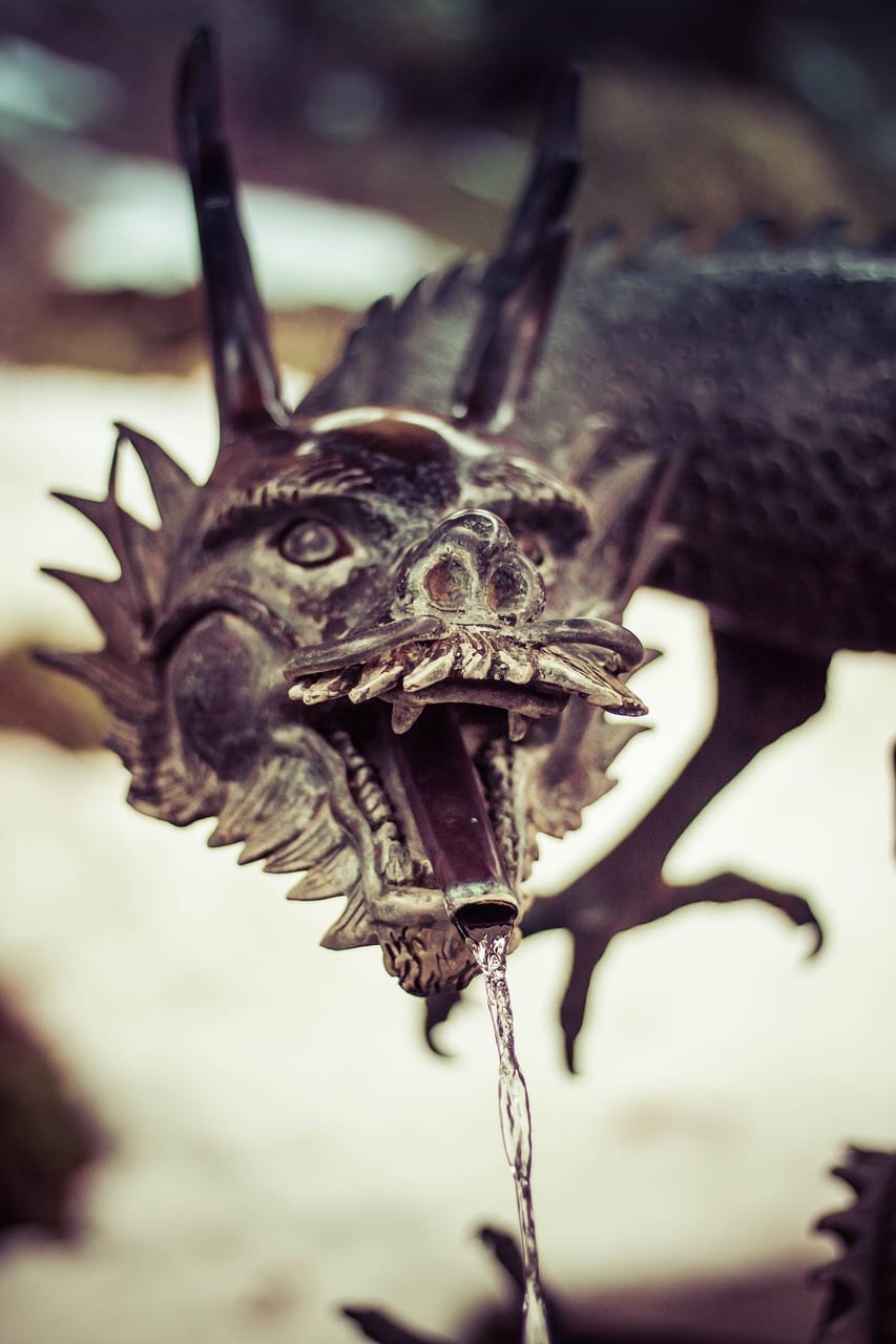 Dinosaurs Prove the Theory of Evolution — Learn the Facts Behind Popular Dinosaur Myths