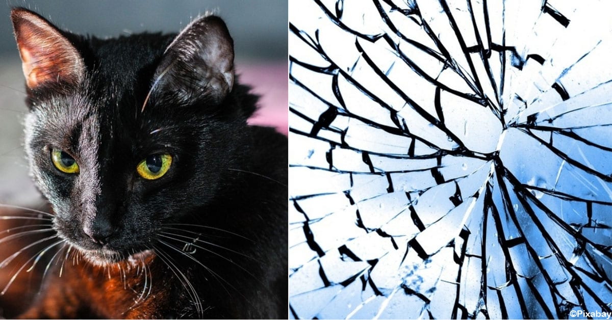 Why Black Cats Are Bad Luck and the Origins of 6 Other Common Superstitions