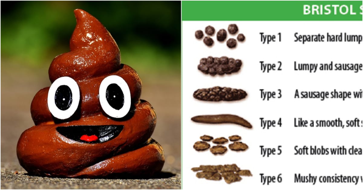 Here's What the Color and Shape of Your Poop Says About Your Body