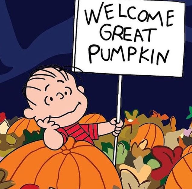 ITS THE GREAT PUMPKIN CHARLIE BROWN 1966 directed by BILL MELENDEZ  Credit LEE MENDELSON FILM PRODUCTIONS  Album Stock Photo  Alamy