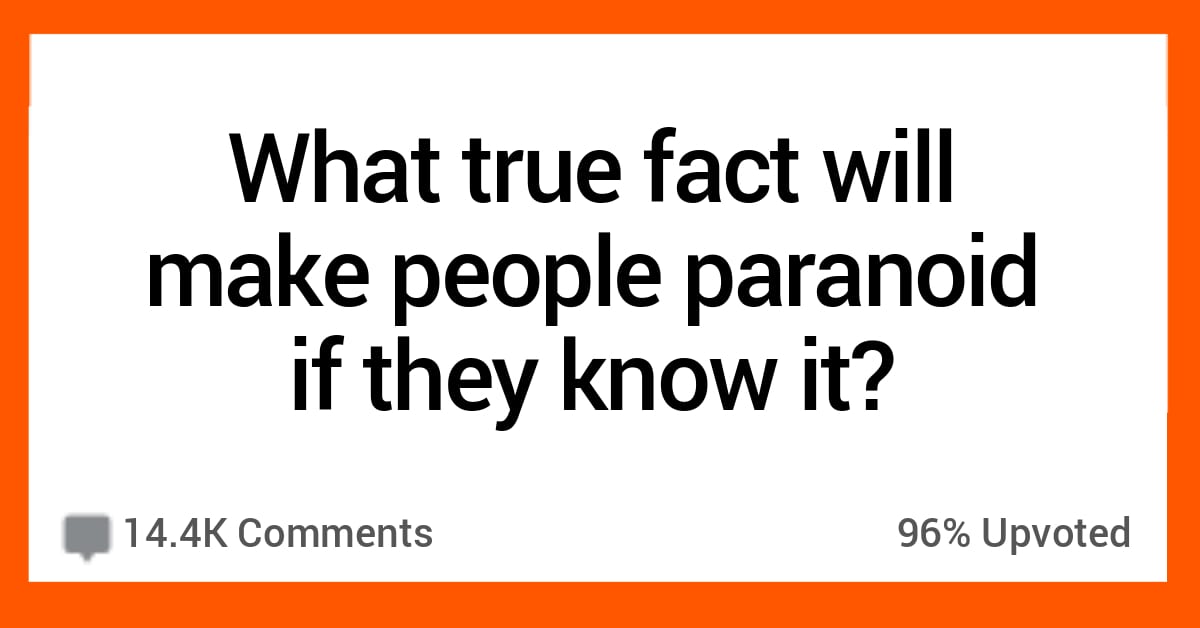 Fun (band) visual data 7