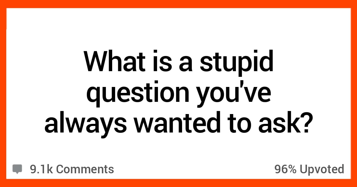15 People Confess Their Stupid Questions They've Always Wanted to Ask