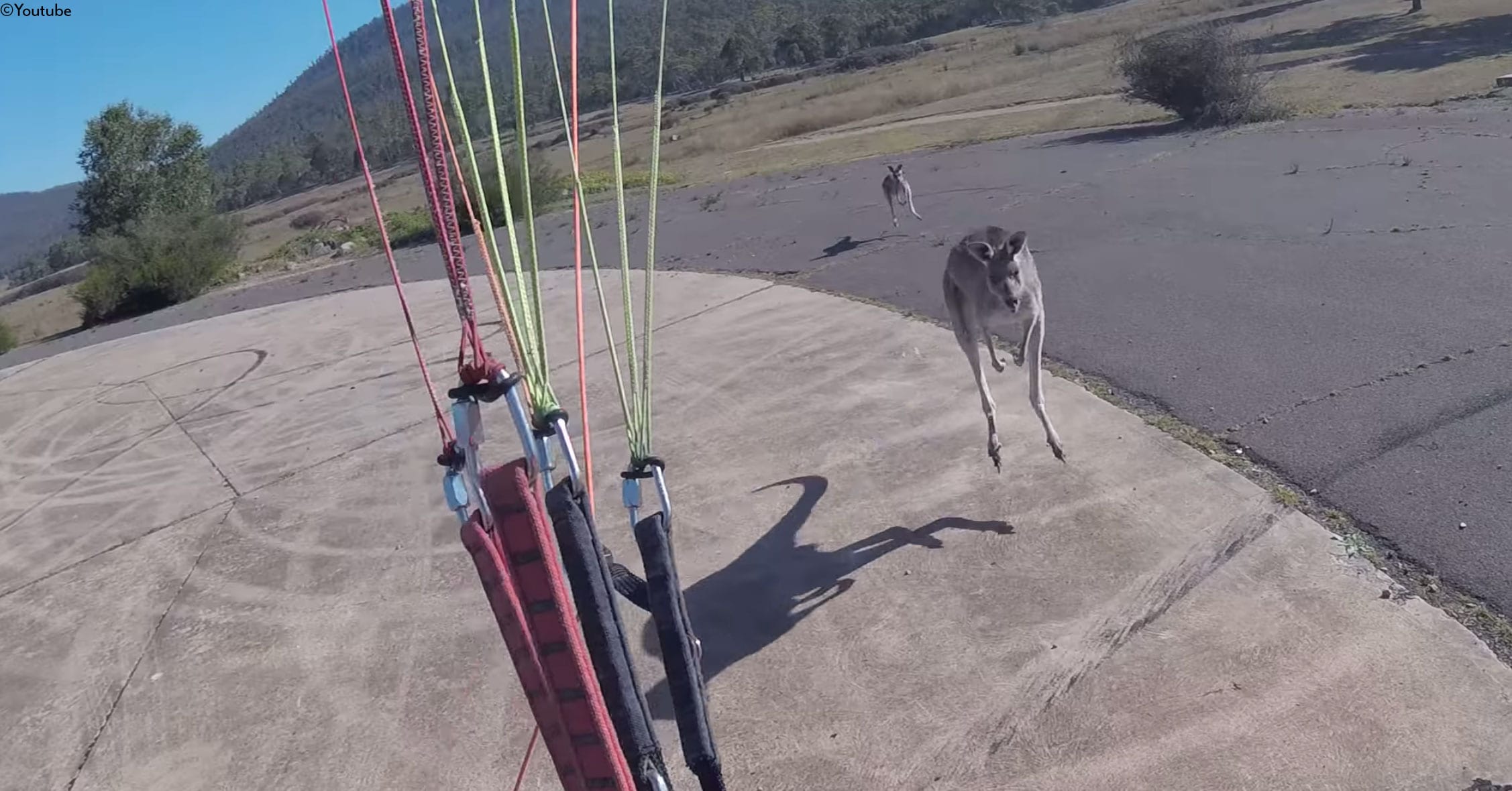 A Kangaroo Punched a Paraglider in the Face, and I Don't Know If There Ever Was a More Aussie