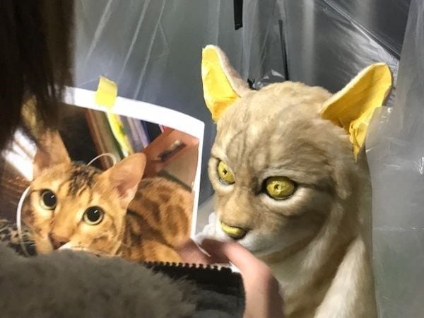  Turn Your Cat’s Face Into a Realistic Mask