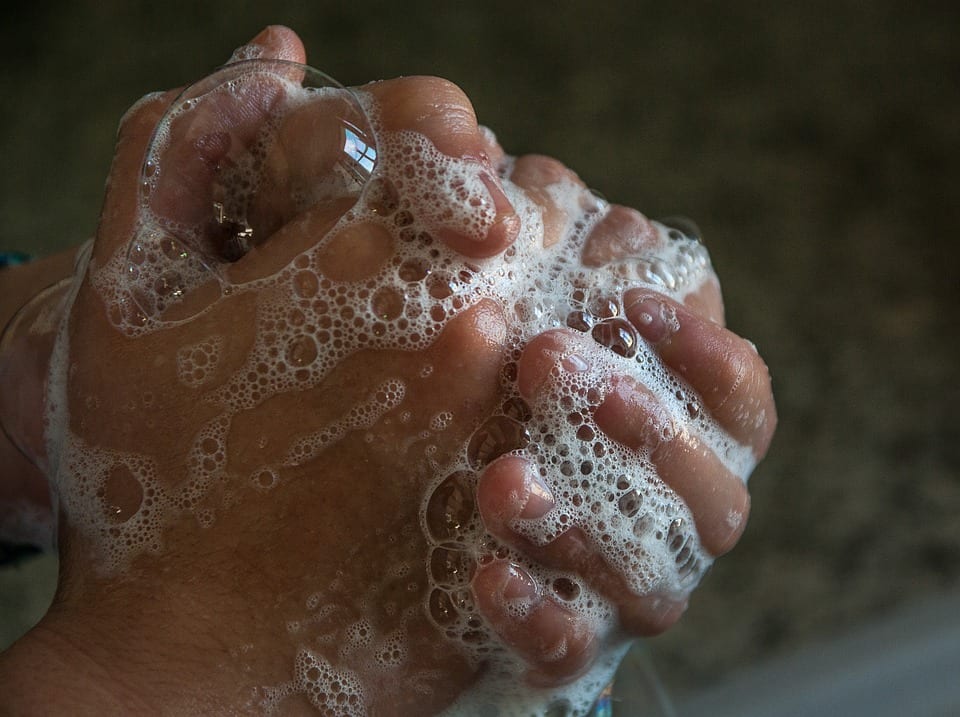 hands 2238235 960 720 A High School Teacher’s “Bread Experiment” Showed the Importance of Washing Your Hands