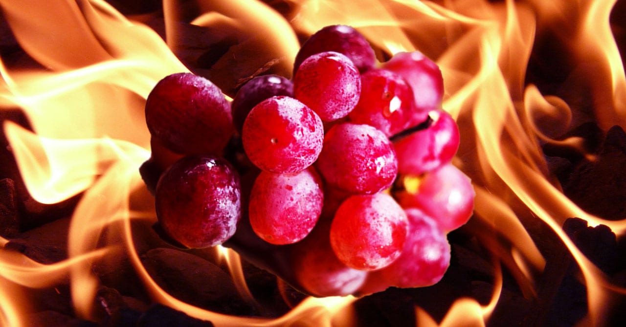 Physicists Have Finally Figured out Why Grapes Explode into Flames in the Microwave