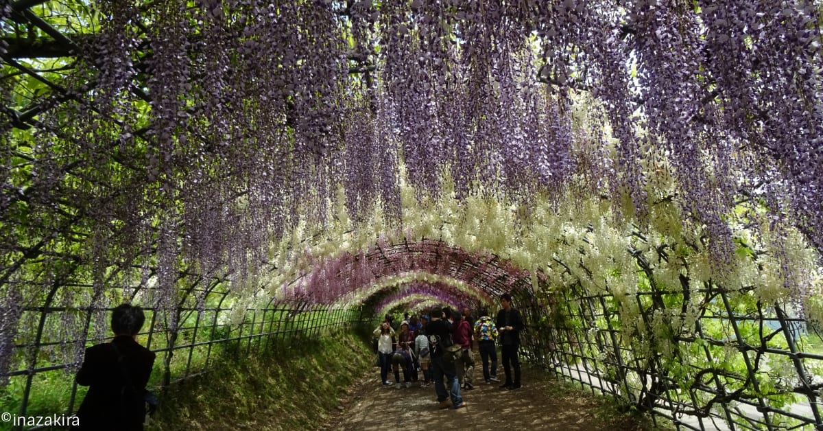 GARDEN ビューティフル Beautiful 34_Raked_gravel_garden-260x172.jpg