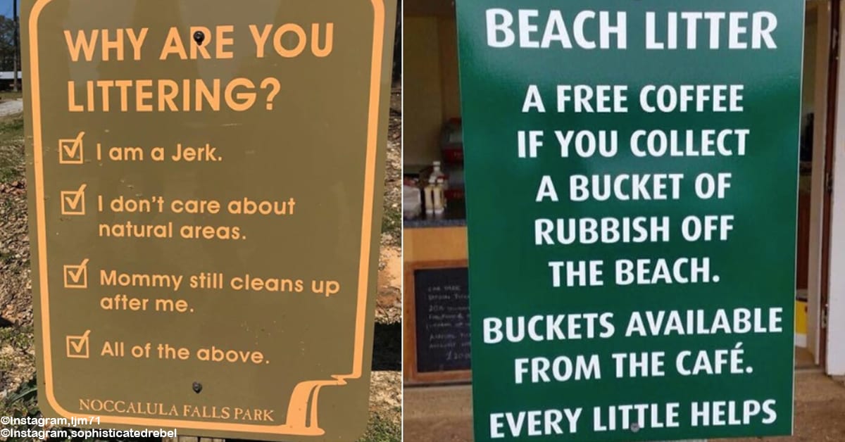 clever uses for breeze litter system