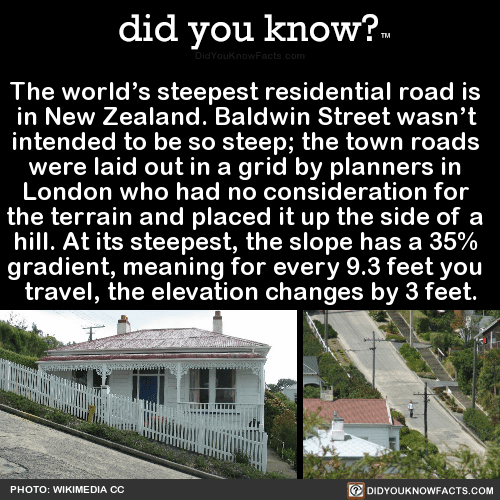 the-worlds-steepest-residential-road-is-in-new-did-you-know