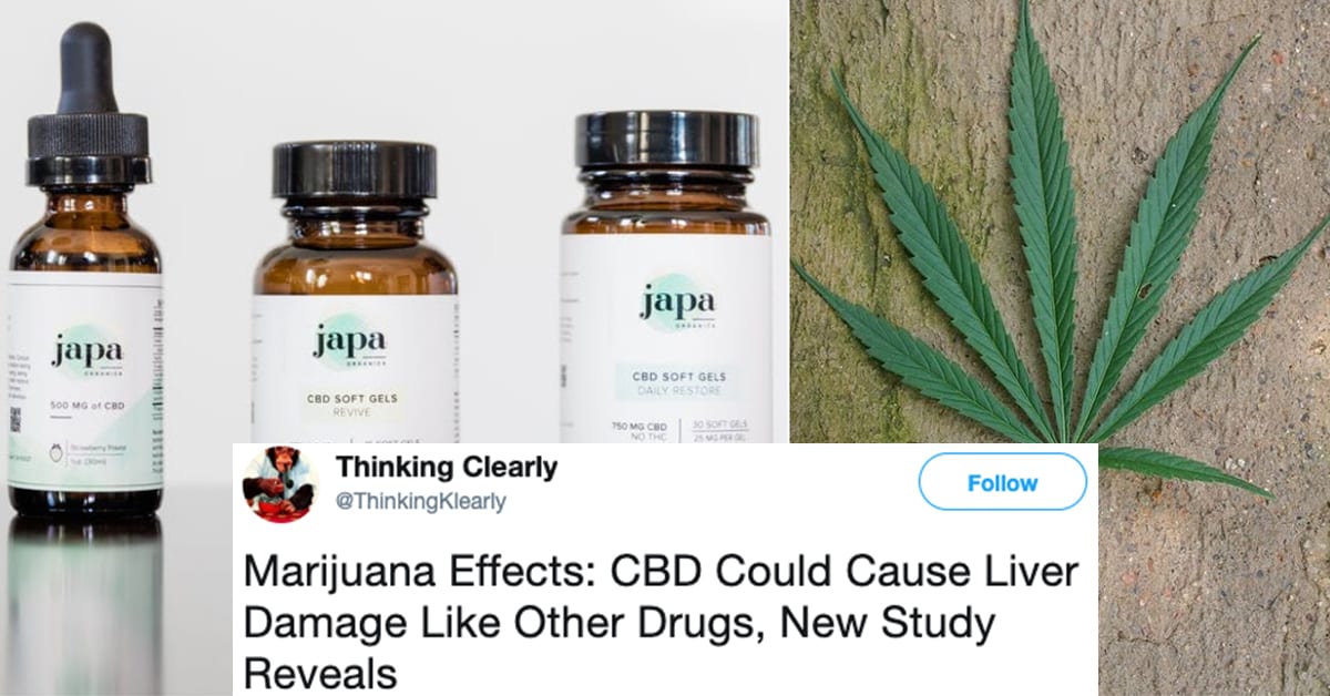 a-study-shows-that-cbd-can-cause-liver-damage