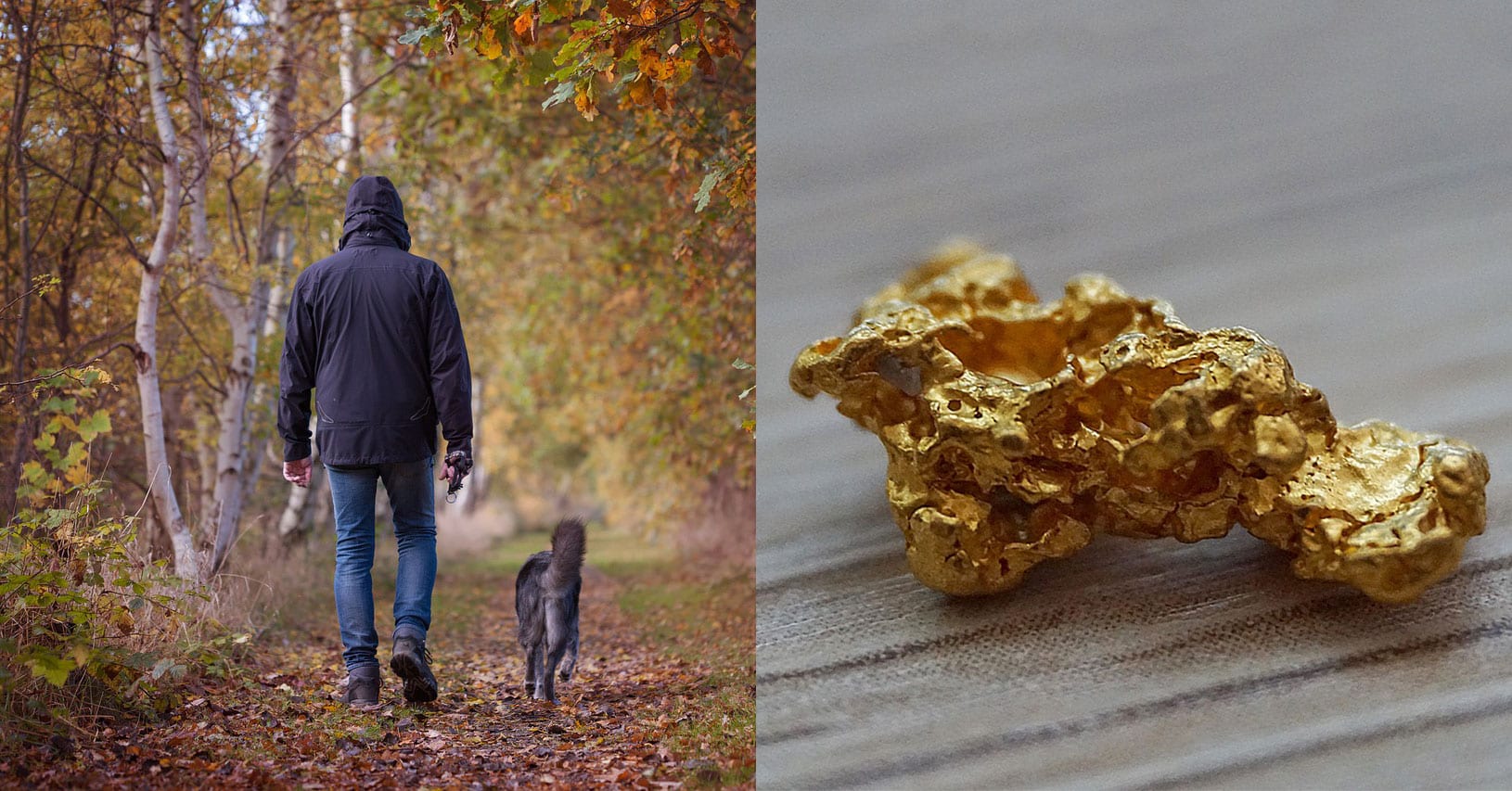 Man Discovers Gold Nugget Worth over 25,000 While Walking His Dog(01)