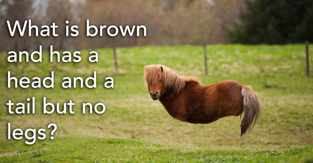 Don't Think Too Hard to Solve These 5 Riddles