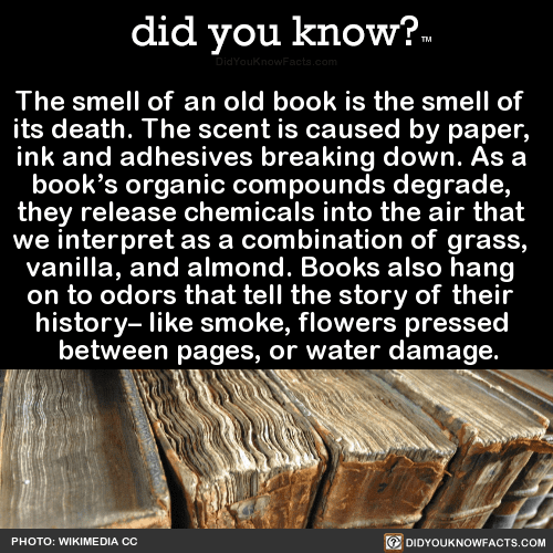 thesmellofanoldbookisthesmellofits did you know?
