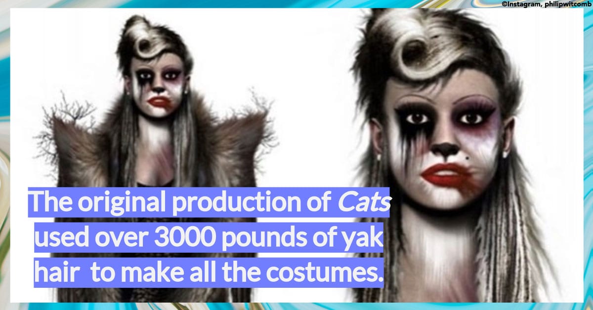 56 Top Images Interesting Facts About Cats The Musical : Melissa S Mochas Mysteries And Meows The Purrfect 10 Fun Facts About Cats The Musical