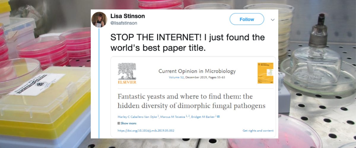 Scientists Are Sharing Their Favorite Funny Paper Titles