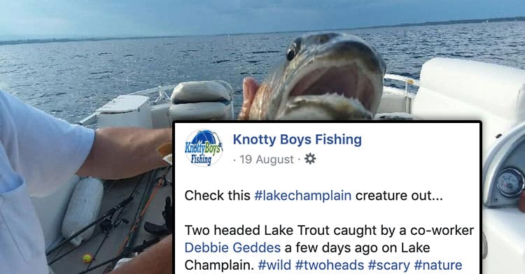 Woman Catches Two-Headed Fish In Lake Champlain