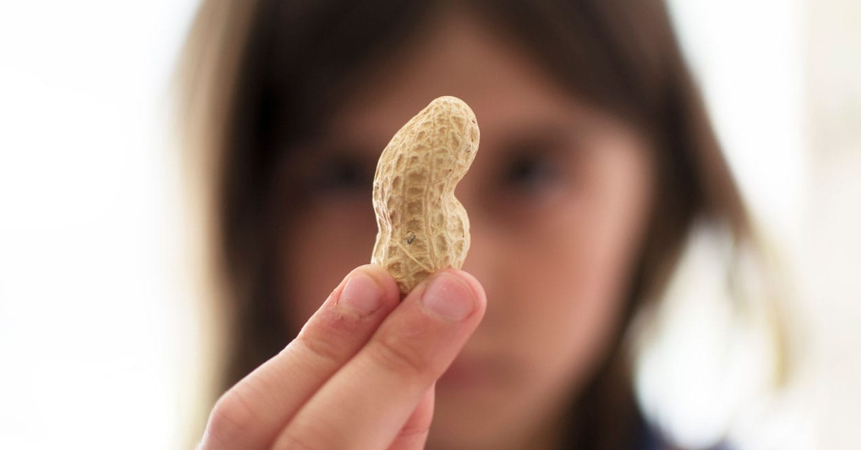 A Cure for Peanut Allergies Could Be Available as Soon as 2020