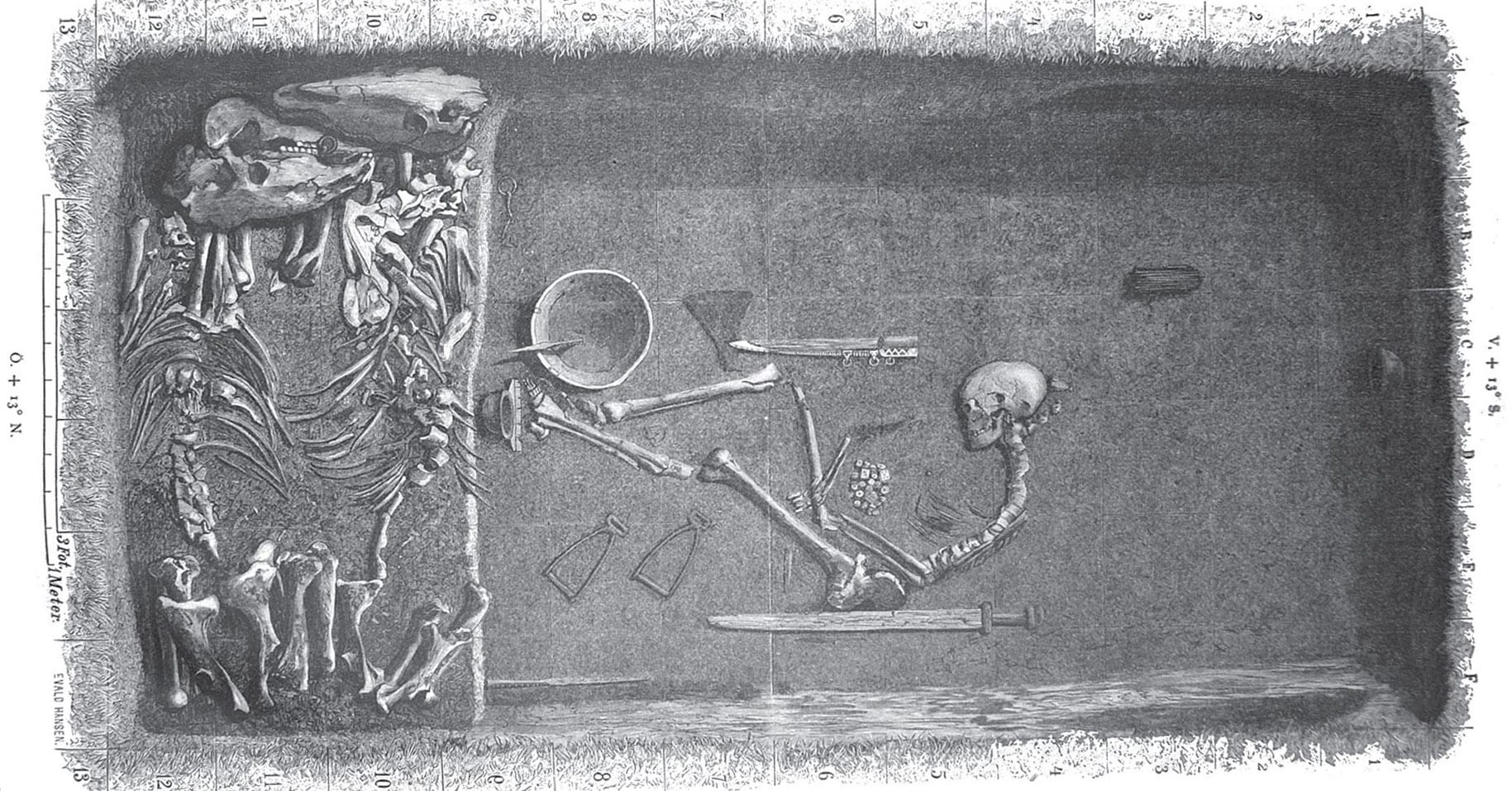 DNA Evidence from Viking Gravesite Proves Decorated Warrior Buried