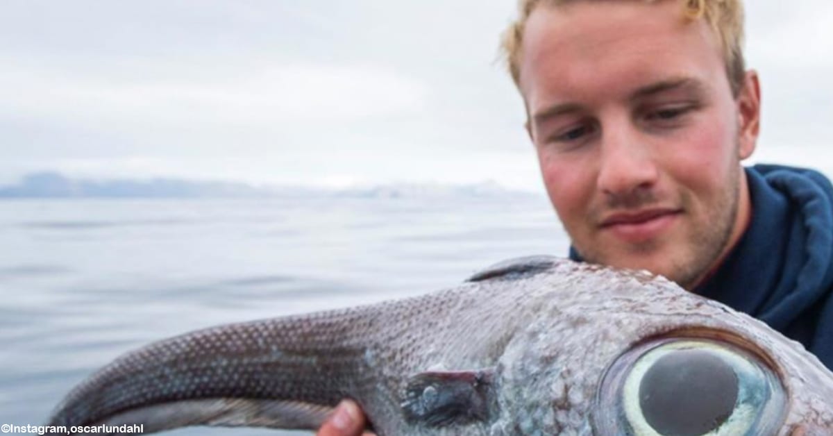 Fisherman Catches a Strange, Alien-Like Fish off the Coast of Norway