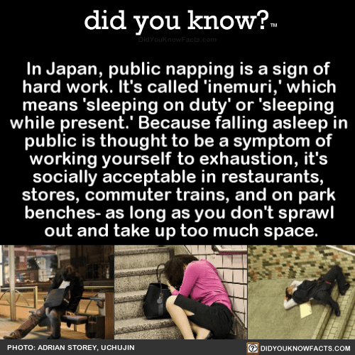 In Japan Public Napping Is A Sign Of Hard Work Did You Know