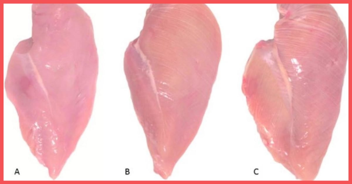 Here's what White Stripes Say About the Health of Chicken Breasts