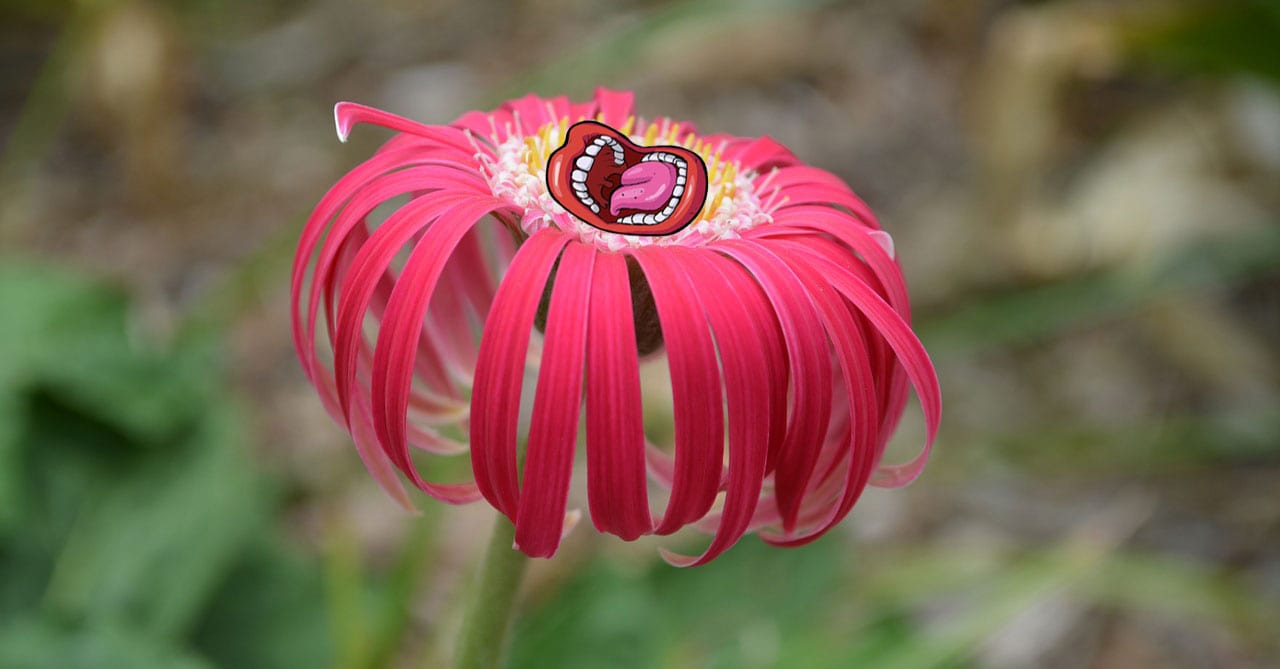 It Turns out That Plants Scream When They're Stressed We Just Can't