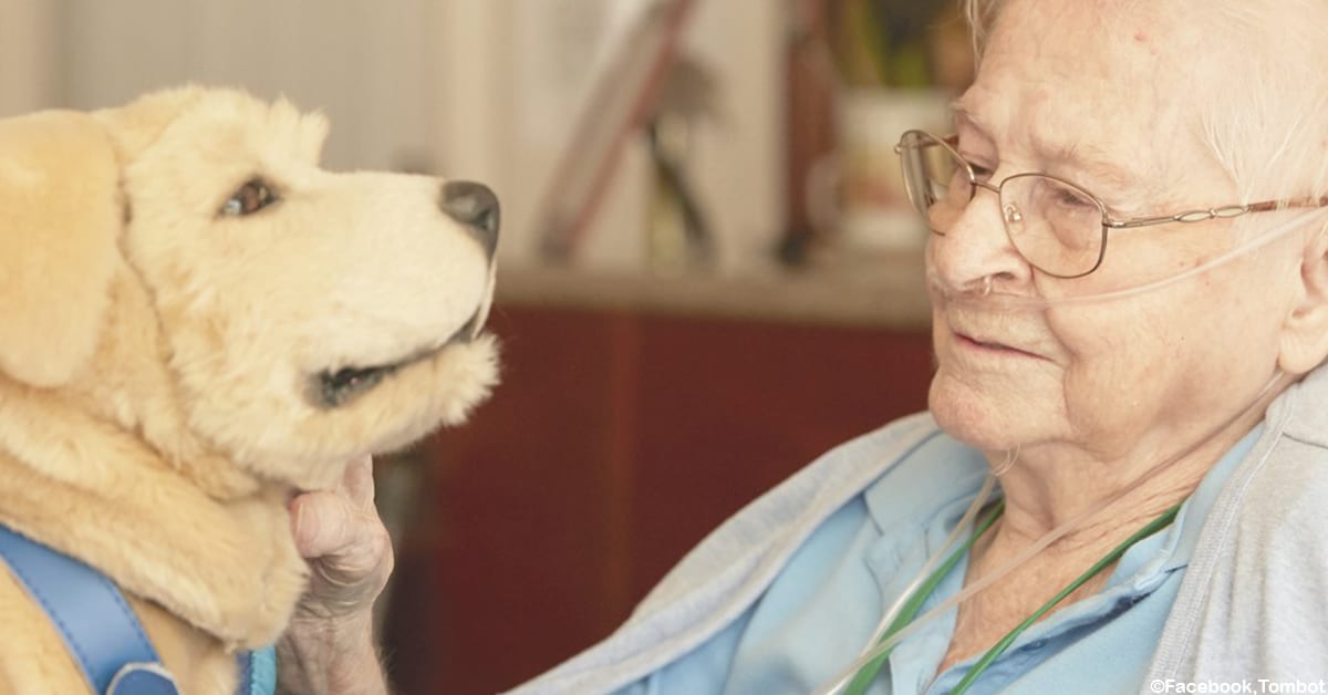 Man Whose Mother Had Alzheimer's Invented a Lifelike Robot Dog to