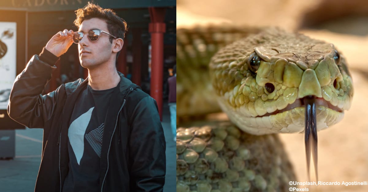 This Zoo Will Name a Rat After Your Ex and Feed It to a Snake on