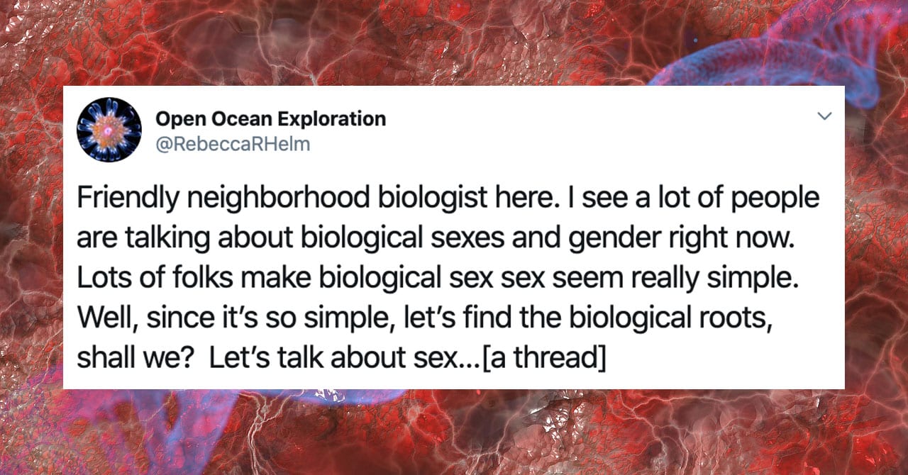 Biology Professor Breaks Down Why Defining Sex And Gender Is Actually 8297