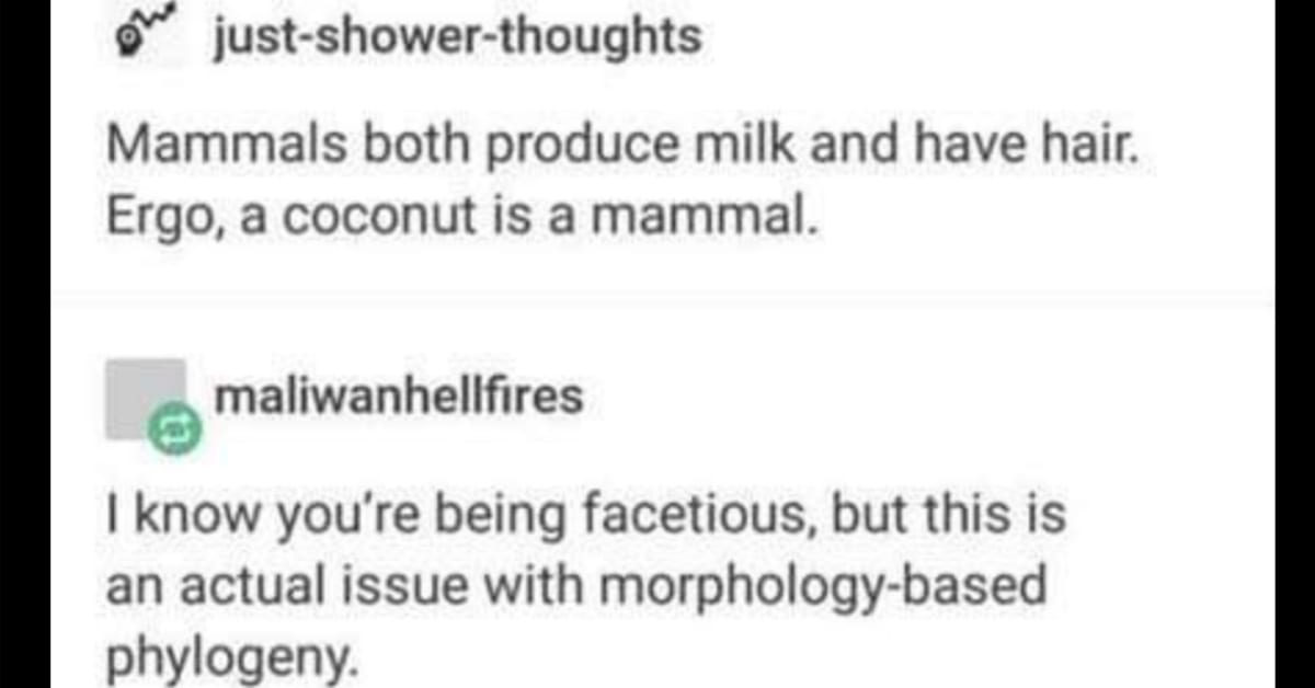 People On Tumblr Are Going Back And Forth About How "Coconuts Are Mammals"