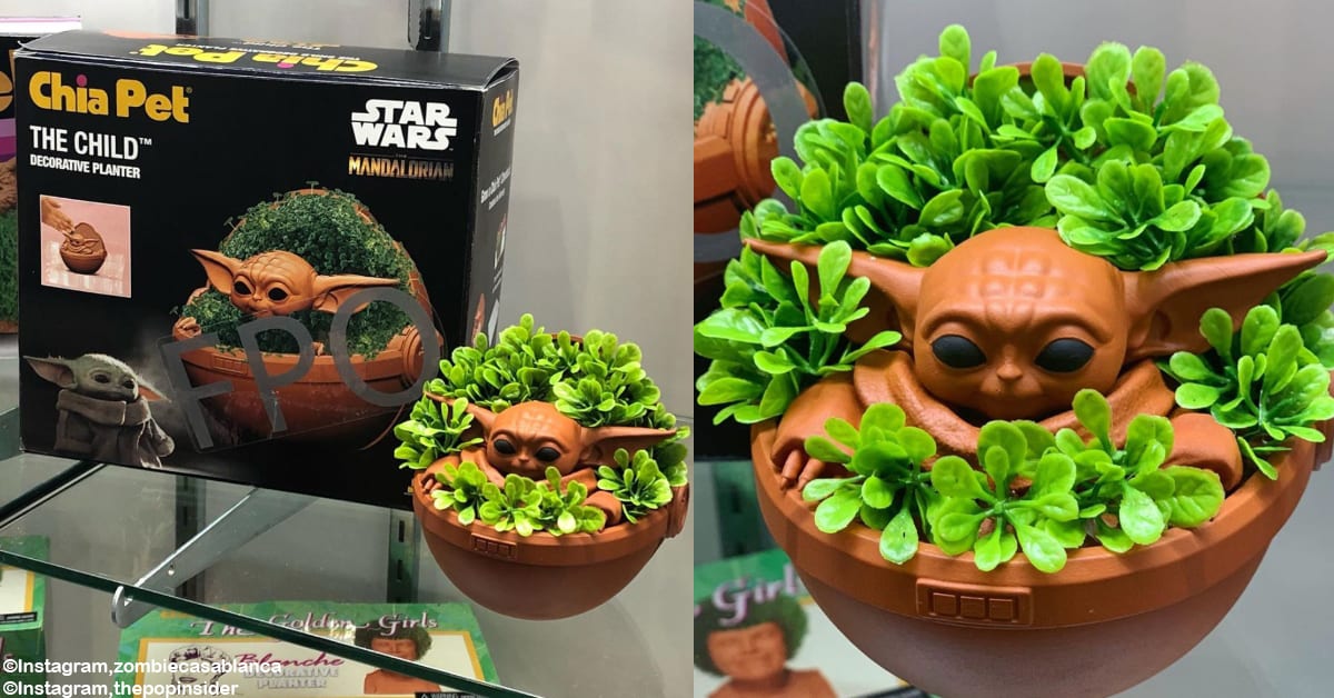 Cute Baby Yoda Chia Pets Will Be Here Soon