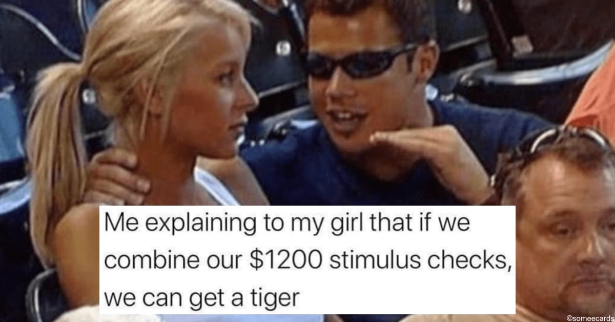 12 Hilarious Memes About Those Government Stimulus Checks We're