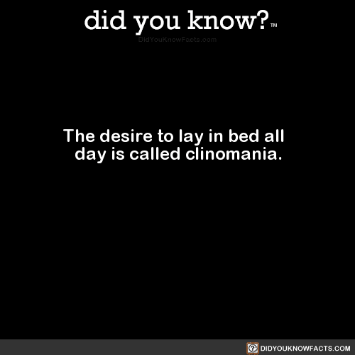 the-desire-to-lay-in-bed-all-day-is-called-did-you-know