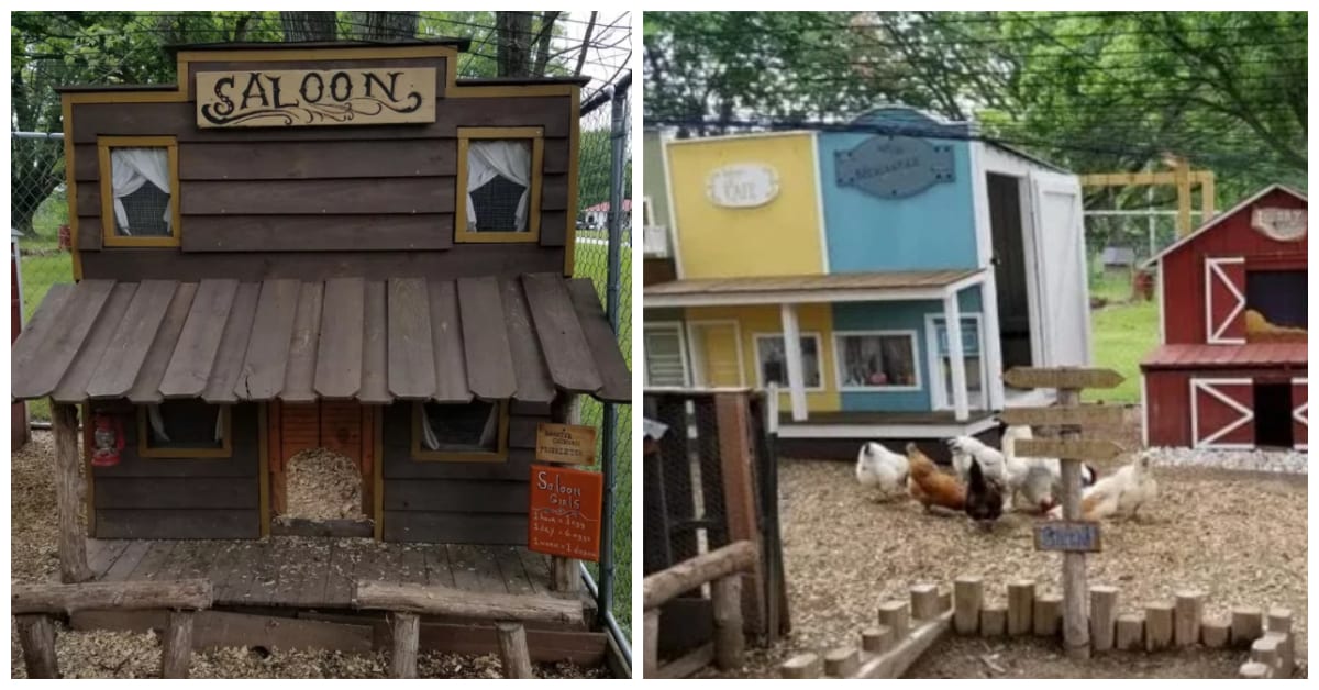 This Couple Built a Miniature Old Western Town for Their Backyard Chickens