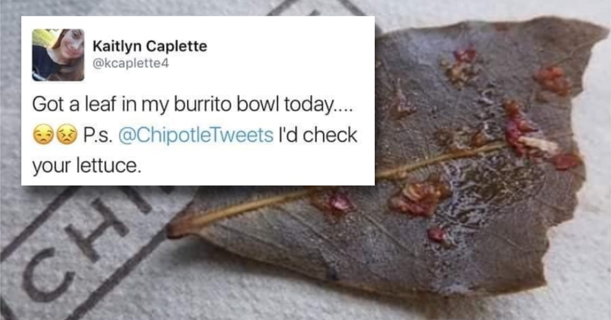 People Are Really Confused by the Leaves They Keep Finding in Their