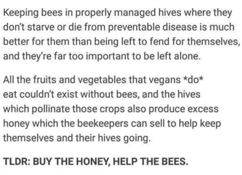 Beekeeper Explains That Vegans Can Eat Honey After All