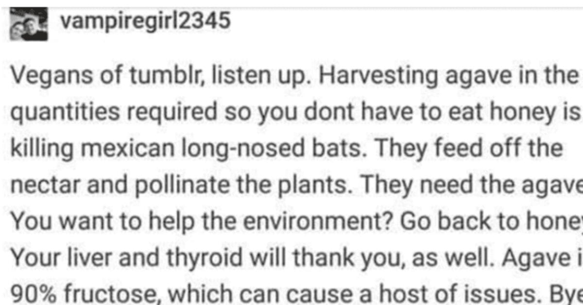 Beekeeper Explains That Vegans Can Eat Honey After All